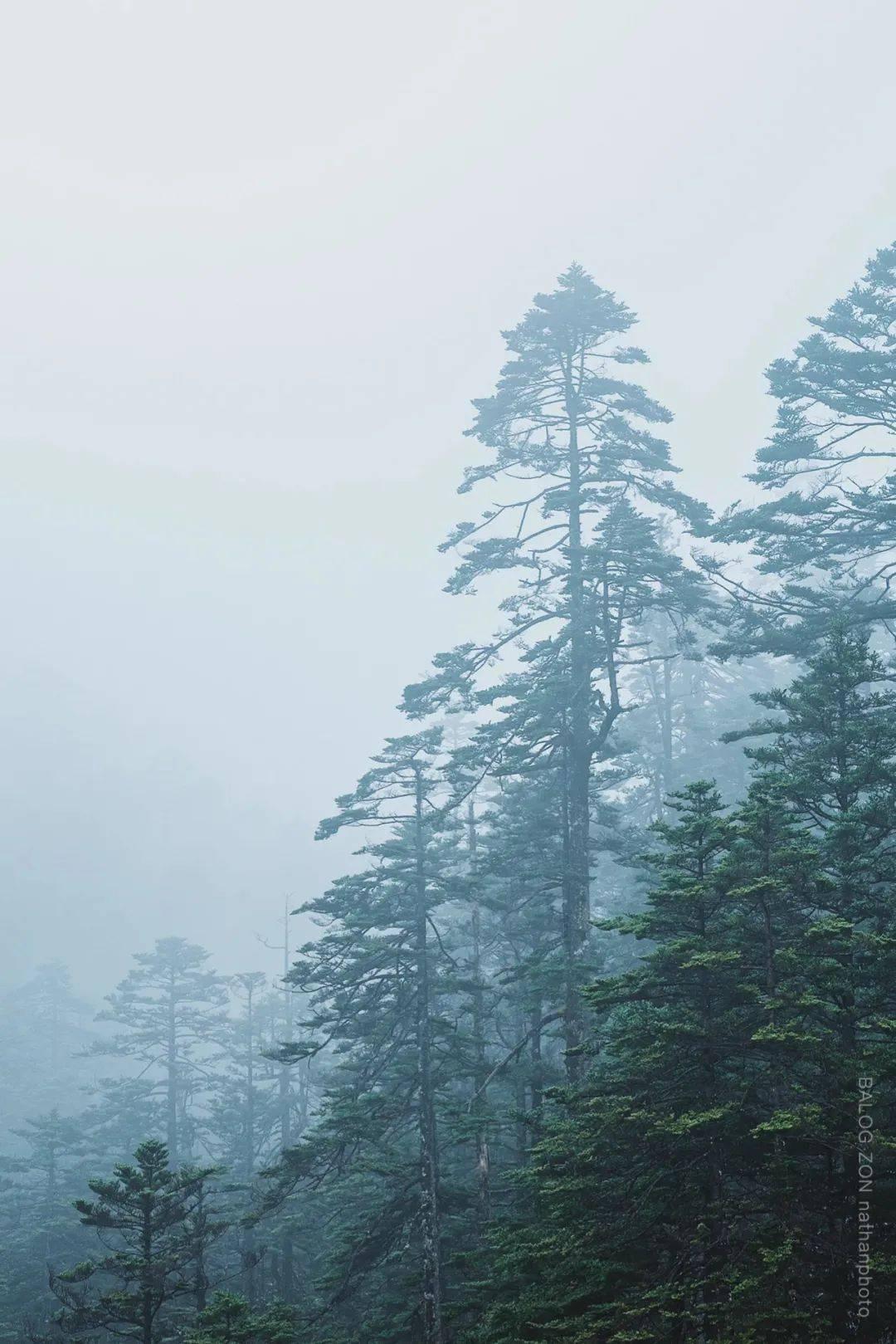 喜羊羊兄妹雪球大战3